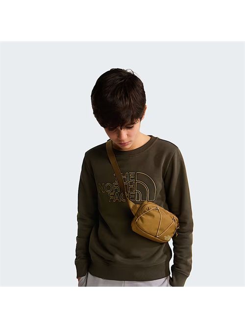 Felpa Drew Peak da ragazzi THE NORTH FACE | NF0A8AXX21L1